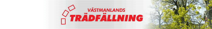Trädfällning i Västmanland